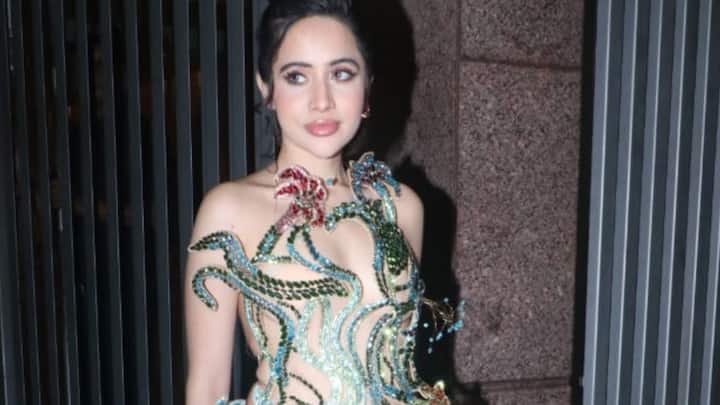 মূলত সোশ্যাল মিডিয়ায় সর্বদাই শিরোনামে থাকেন উরফি জাভেদ। বিতর্কের সঙ্গে দীর্ঘদিনের সম্পর্ক রয়েছে উরফি জাভেদের।