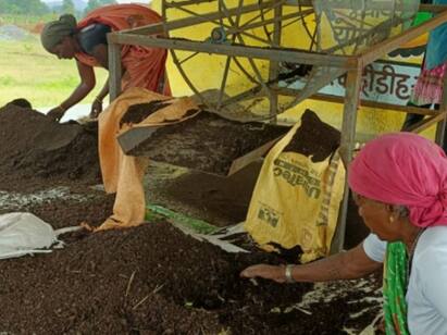 Chhattisgarh News: असमंजस में गोठान समिति, आचार संहिता के बाद बंद है गोबर खरीदी, महिला समूहों की बढ़ी मुश्किलें
