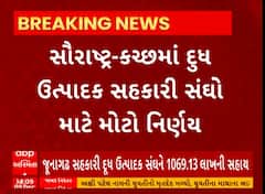 Saurashtra News | સૌરાષ્ટ્ર-કચ્છ દૂધ ઉત્પાદક સંઘ માટે મોટા ખુશીના સમાચાર, જુઓ અહેવાલ