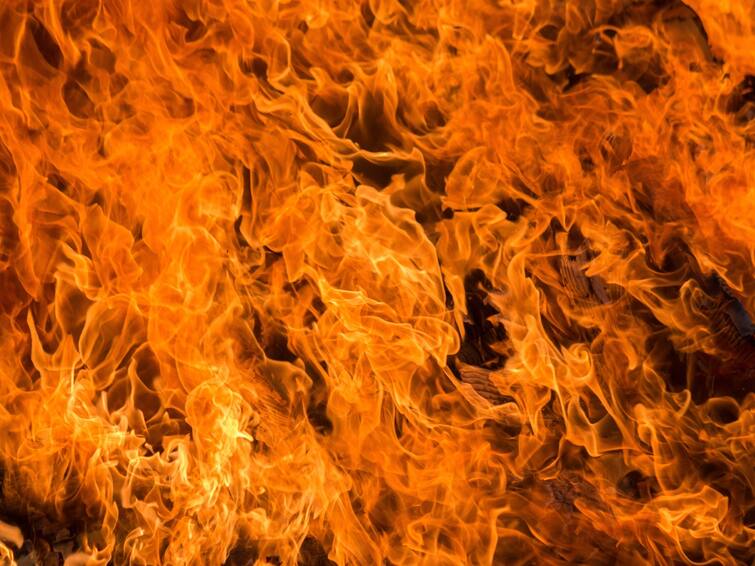 Delhi Fire Breaks a fire broke out in a paper warehouse located in Mayur Vihar phase 1 Delhi Fire Breaks: दिल्ली में एक और आगजनी की घटना, अब मयूर विहार स्थित कागज के गोदाम में लगी आग