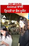 Animal Fame Tripti Dimri Fan Moment
