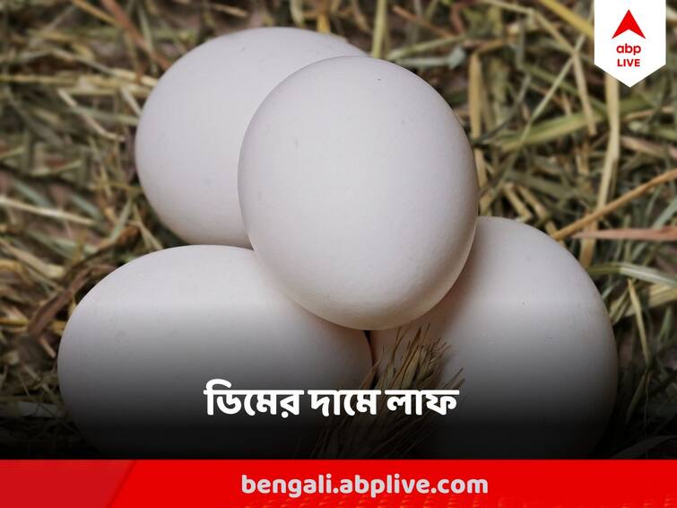 Kolkata Egg Price Hike After Cyclone Migchaung Egg Price Hike : সাধারণের মাথায় হাত ! এক লাফে বেড়ে গেল ডিমের দাম