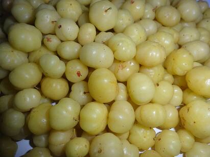 Winter diet : இந்த குளிர் காலத்தில் உடலின் ஆரோக்கியத்தை மேம்படுத்த இந்த 6 அற்புத உணவுகள் போதும்!