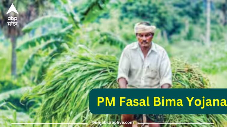 pm-fasal-bima-yojana-how-to-apply-for-insurance PM Fasal Bima Yojana: ਕਿਵੇਂ ਮਿਲਦਾ ਫਸਲ ਬੀਮਾ ਯੋਜਨਾ ਦਾ ਫਾਇਦਾ? ਇਦਾਂ ਮਿਲੇਗੀ 50 ਫੀਸਦੀ ਸਬਸਿਡੀ