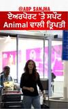 Animal Fame Tripti Dimri Spotted at the airport