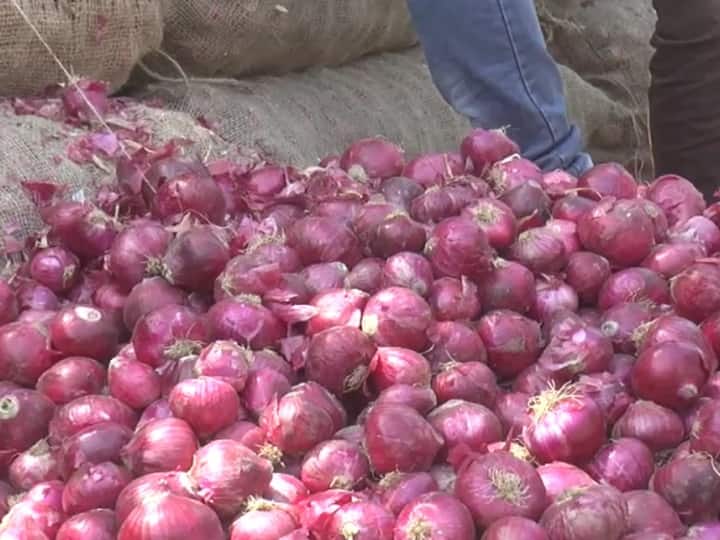 BJP MPs and MLAs demanded removal of ban on onion export, Congress also submitted petition to Deputy Collector ડુંગળીની નિકાસ પર પ્રતિબંધ હટાવવા ભાજપનાં સાંસદો અને ધારાસભ્ય મેદાને, કોંગ્રેસે પણ ડેપ્યુટી કલેકટરને આપ્યું આવેદનપત્ર