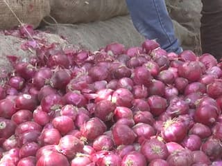 Onion Price: ડુંગળીના ભાવમાં મોટો કડાકો, જાણો શું છે કારણ
