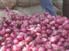 Onion Price: ડુંગળીના ભાવમાં મોટો કડાકો, જાણો શું છે કારણ