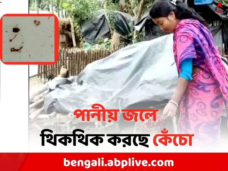 Hingalganj Polluted Drinking Water:  Many Sick in Hingalganj due to earthworms and insects in drinking water Hingalganj News: পানীয় জলের পাইপ থেকে বেরিয়ে এল কেঁচো ও পোকামাকড় ! কাঠগড়ায় প্রশাসন