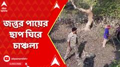 জন্তুর পায়ের ছাপ ঘিরে চাঞ্চল্য, কুলতলিতে ছড়াল বাঘের আতঙ্ক