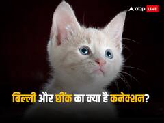 पाकिस्तानी मौलवी ने बिल्ली के पैदा होने को लेकर दिया ज्ञान, कहा-'शेर ने छींका तो हुआ जन्म'