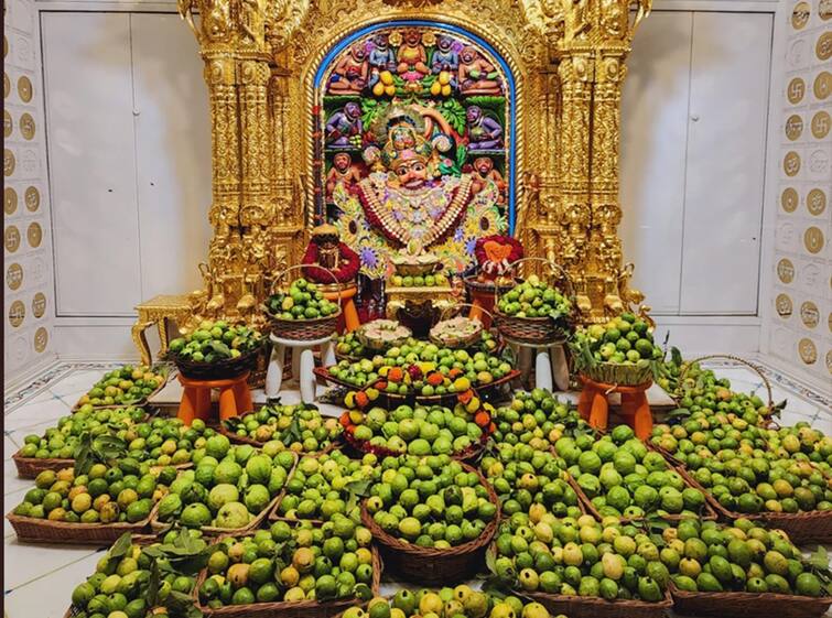 Shree Kashtbhanjan Dev Hanuman Dada Annakut Darshan with Jamfal Annakut Prasad In Botad Annakut Darshan: બોટાદના શ્રી કષ્ટભંજન દેવ દાદાને ધરાવાયો જામફળનો ભવ્ય અન્નકૂટ, તસવીરોમાં જુઓ