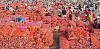 Onion News: ડુંગળીની નિકાસ બંધીથી ખેડૂતો-વેપારીઓમાં ચિંતા, એક જ દિવસમાં ગોંડલ યાર્ડમાં બોલાયો 300 રૂ.નો કડાકો