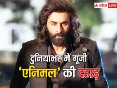 'एनिमल' की दहाड़ से थर्रा उठा बॉक्स ऑफिस, रणबीर कपूर की फिल्म ने दुनियाभर में बटोर लिए 650 करोड़ से ज्यादा