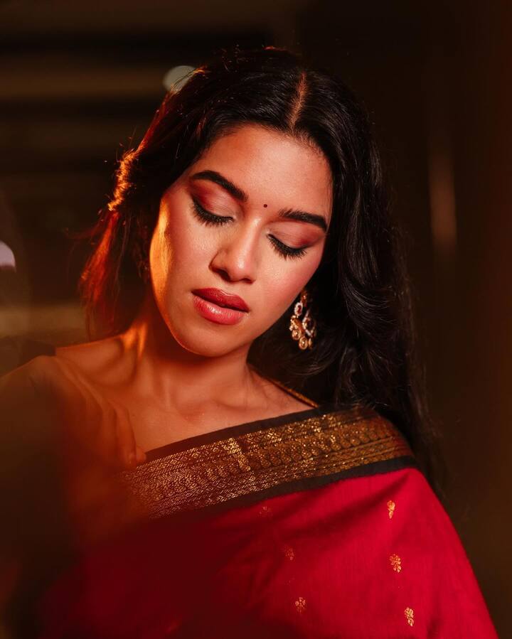 பாண்டிச்சேரியில் பிறந்த மிருணாளினி ரவி, பொறியியல் பட்ட படிப்பை முடித்த பின் பெங்களூரில் பணிபுரிந்தார்.