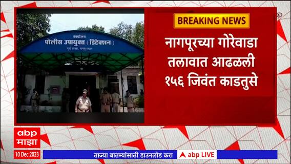 Nagpur Crime : नागपूरच्या गोरेवाडा तलावात आढळली 156 जिवंत काडतुसे