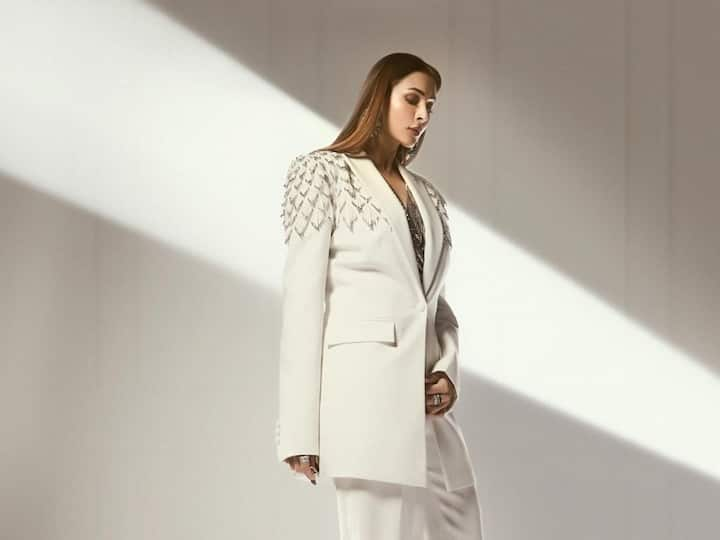 In her most recent fashion picture shoot, Malaika Arora wore a pantsuit and chainmail top.