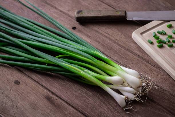 Green Onions Health Benefits : हिवाळ्यात कांद्याची पात खाणे आरोग्यासाठी खूप फायदेशीर आहे. हिरवा कांदा अनेक आजारांना दूर ठेवण्यास मदत करतो. (PC:istock)