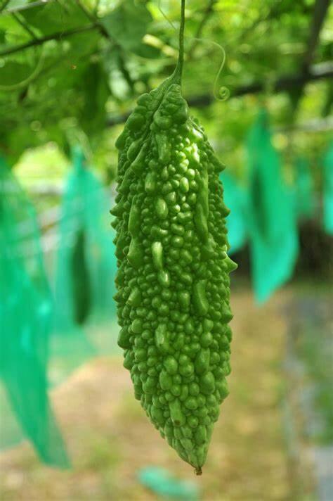 कारल्यामध्ये ओमेगा-3 फॅटी अॅसिड आढळते ज्यामुळे हृदयाचे आरोग्य सुधारते.