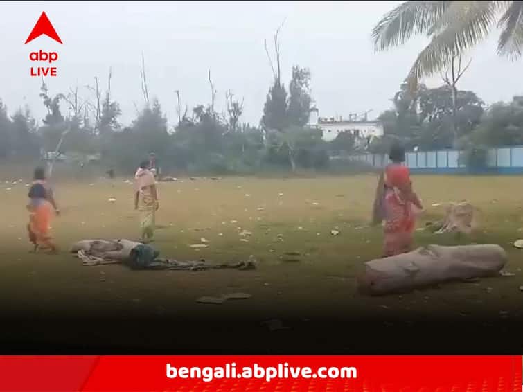Huge Trees Allegedly Cut By Locals In Bakkhali For Illegal Smuggling Bakkhali Tree Cut:সৈকত থেকে অবাধে জারি গাছচুরি, বকখালিতে অভিযোগের তির স্থানীয়দের একাংশের দিকে