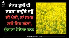 Mustard Farming: ਜੇਕਰ ਤੁਸੀਂ ਵੀ ਕਰਨਾ ਚਾਹੁੰਦੇ ਸਰ੍ਹੋਂ ਦੀ ਖੇਤੀ, ਤਾਂ ਸਮਝ ਲਓ ਇਹ ਗੱਲਾਂ, ਦੁੱਗਣਾ ਹੋਵੇਗਾ ਝਾੜ