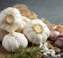 Garlic benefits: ਸਵੇਰੇ-ਸਵੇਰੇ ਖਾਲੀ ਪੇਟ ਕੱਚਾ ਲੱਸਣ ਖਾਣ ਦੇ 5 ਗਜ਼ਬ ਦੇ ਫਾਇਦੇ...ਆਓ ਜਾਣਦੇ ਹਾਂ