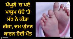Viral News: ਪੰਘੂੜੇ 'ਚ ਪਏ ਮਾਸੂਮ ਬੱਚੇ 'ਤੇ ਮੱਝ ਨੇ ਕੀਤਾ ਗੋਹਾ, ਦਮ ਘੁੱਟਣ ਕਾਰਨ ਹੋਈ ਬੱਚੇ ਦੀ ਮੌਤ