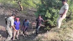 South 24 Parganas: কাদায় কার পায়ের ছাপ? আতঙ্কে কাঁটা মৈপীঠের গ্রাম