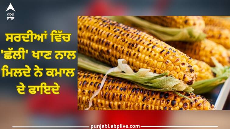superfood bhutta know about these 7 benefits of corn health news Superfood Bhutta: ਸਰਦੀਆਂ ਵਿੱਚ 'ਛੱਲੀ' ਖਾਣ ਨਾਲ ਮਿਲਦੇ ਨੇ ਕਮਾਲ ਦੇ ਫਾਇਦੇ, ਜਾਣੋ ਇਸਦੇ ਪਿੱਛੇ ਦਾ ਵਿਗਿਆਨਕ ਕਾਰਨ