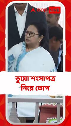 'আদিবাসীদের নামে ভুয়ো সার্টিফিকেট', কী বললেন মমতা?