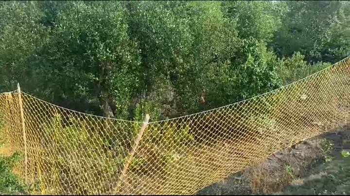 মাইকে প্রচার করতে থাকে পুলিশ। বাড়ির কাছে জঙ্গলে যেতে বারণ করা হয় গ্রামবাসীদের। বাঘের আসার কথা আগে থেকেই জানিয়ে সাবধান করা হয় বাসিন্দাদের।