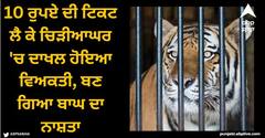 Viral News: 10 ਰੁਪਏ ਦੀ ਟਿਕਟ ਲੈ ਕੇ ਚਿੜੀਆਘਰ 'ਚ ਦਾਖਲ ਹੋਇਆ ਵਿਅਕਤੀ, ਬਣ ਗਿਆ ਬਾਘ ਦਾ ਨਾਸ਼ਤਾ, ਮਿਲੀ ਅੱਧੀ ਖਾਧੀ ਲਾਸ਼!
