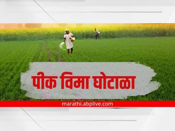 Hingoli News crop insurance 150 cor agriculture ministry of maharshtra marathi news कृषी विभागाच्या अट्टहासामुळे पीक विम्याचे 150 कोटीही गेले, केंद्राच्या तांत्रिक सल्लागार समिती समोर विमा कंपनी जिंकली 