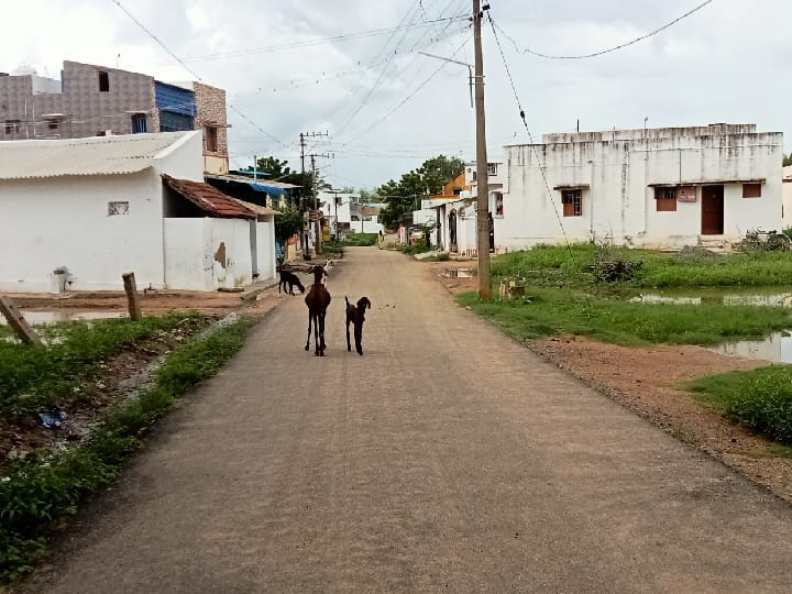 பெண் குழந்தைகள் பிறந்தால் மகிழ்ச்சி; மனைவி வீட்டில் குடியேறும் கணவன் - நன்குடி வேளாளர் சமூகத்தின் பாரம்பரியம்