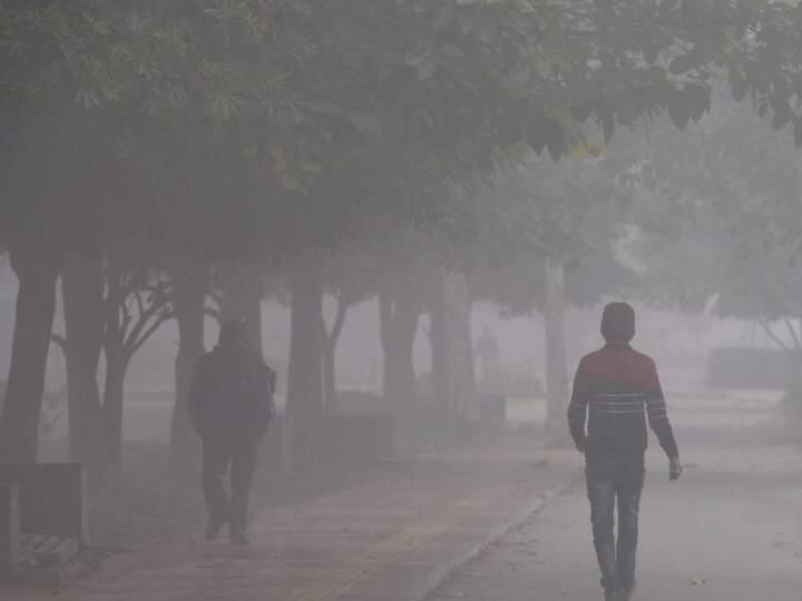 weather update Today rain drizzle likely in tamil nadu kerala north india shivers as temperature drops cold weather marathi news Weather Update : उत्तर भारतात थंडीची लाट, महाराष्ट्रासह 'या' भागात पावसाची शक्यता; शेतकऱ्यांवरील संकट कायम