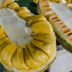 ਕਿਹੜੇ ਲੋਕਾਂ ਨੂੰ ਨਹੀਂ ਖਾਣਾ ਚਾਹੀਦਾ ਕਟਹਲ ਤੇ ਜਾਣੋ ਕਿੰਝ ਕਰਦਾ ਸਿਹਤ ਨੂੰ ਨੁਕਸਾਨ