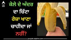 Banana: ਕੇਲੇ ਦੇ ਅੰਦਰ ਦਾ ਚਿੱਟਾ ਰੇਸ਼ਾ ਖਾਣਾ ਚਾਹੀਦਾ ਜਾਂ ਨਹੀਂ?