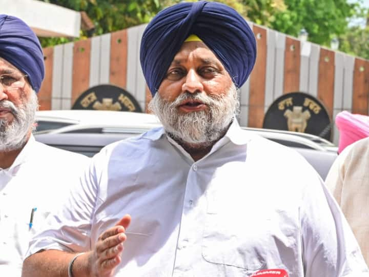 SAD Chief Sukhbir Singh Badal appeals to PM Narendra Modi to intervene to ensure purchase of cotton at MSP Punjab: पंजाब में कपास को घाटे में बेचने को मजबूर हुए किसान, सुखबीर बादल ने की PM मोदी से ये अपील