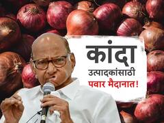 कांदा सरकारला रडवणार! निर्यातबंदीविरोधात थेट शरद पवार मैदानात, पवारांच्या उपस्थितीत चांदवडला राष्ट्रवादीचा रास्तारोको