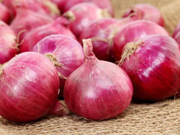 onion export ban news update central govt to purches onion increase buffer stock nashik lasalgaon marathi news Onion Price : कांद्याचे भाव नियंत्रणात आणण्यासाठी केंद्र सरकारचा मेगा प्लॅन तयार, शेतकऱ्यांना दिलासा देणारा 'हा' मोठा निर्णय घेतला