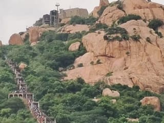 1017 படிக்கட்டுகளை உருண்டு மலையேறி சாமி தரிசனம் செய்த இளைஞர் - இப்படி ஒரு நல்லெண்ணமா?