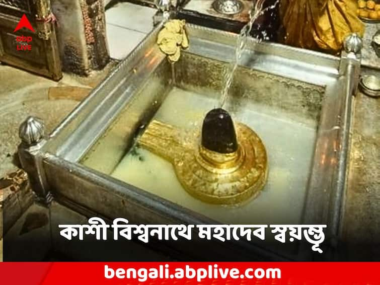 Kashi Vishwanath Dham mythology history significance Kashi Vishwanath Dham: মহাদেব এখানে স্বয়ম্ভূ, মনের ইচ্ছে পূরণ করতেই কাশী বিশ্বনাথে ছুটে আসেন ভক্তরা