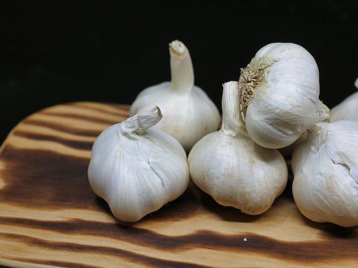 How to cultivate garlic at home know easy process घर पर कैसे एक टब में लग सकते हैं लहसुन, ये प्रोसेस कर लें फॉलो