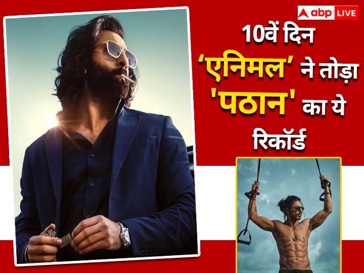 Animal: रणबीर कपूर की फिल्म ‘एनिमल’ बॉक्स ऑफिस पर जमकर बवाल काट रही हैं. वहीं रिलीज के 10वें दिन फिल्म ने शाहरुख खान की 'पठान' की कमाई का रिकॉर्ड तोड़ दिया है. जानिए किस फिल्म ने कितने करोड़ कमाए..