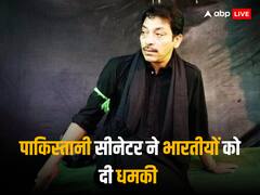 भारत अपनी सारी सेना इजरायल ले आए, हम दिखाएंगे असली जंग क्या होती है...', पाकिस्तानी सीनेटर का जहरीला बयान