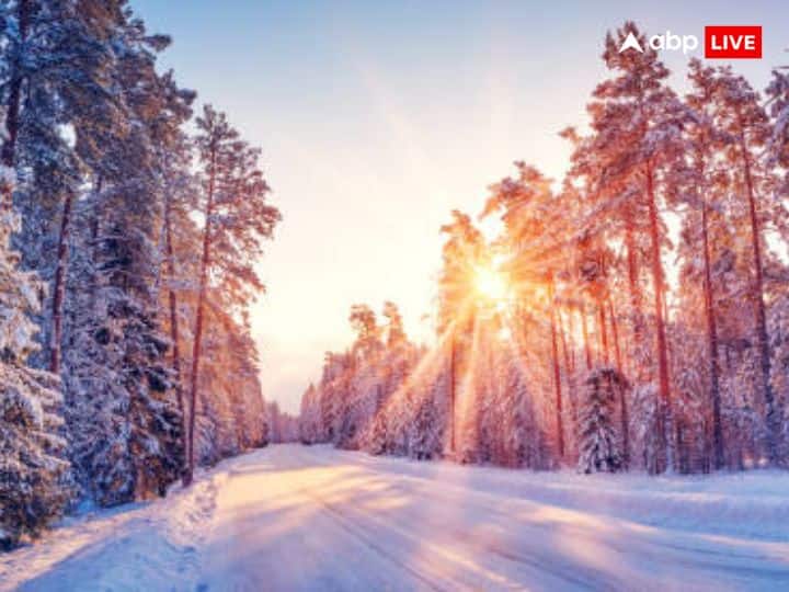 दिसंबर में जन्में लोगों की राशि धनु होती है. ऐसे लोग बहुत ईमानदार होते हैं. हर कोई ऐसे लोगों पर विश्वास करता है और अपनी ईमानदारी से यह बहुत से लोगों का दिल जीत लेते हैं.