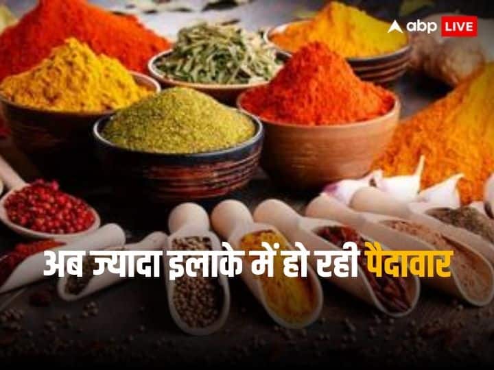 Spices Export From India is growing continuously production also increased Spices Export: पूरी दुनिया में भारतीय मसालों का जलवा, निर्यात रिकॉर्ड स्तर पर पहुंचा, पैदावार भी तेजी से बढ़ी 
