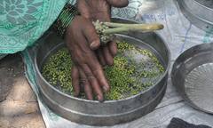 PHOTO: गुलाबी थंडी, अशात हुरडा पार्टी; आरोग्यासाठी होणार असे फायदे