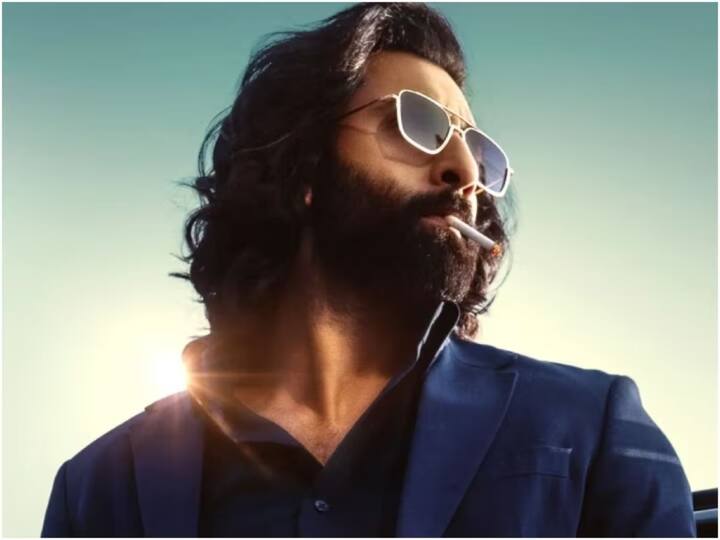 संदीप रेड्डी वांगा यांनी अॅनिमल चित्रपटाचं दिग्दर्शन केलं आहे.