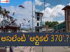 అసలేంటీ 'ఆర్టికల్ 370' - ఎందుకు రద్దు చేశారు.?, అప్పటి నుంచి ఇప్పటివరకూ ఏం జరిగిందంటే.?